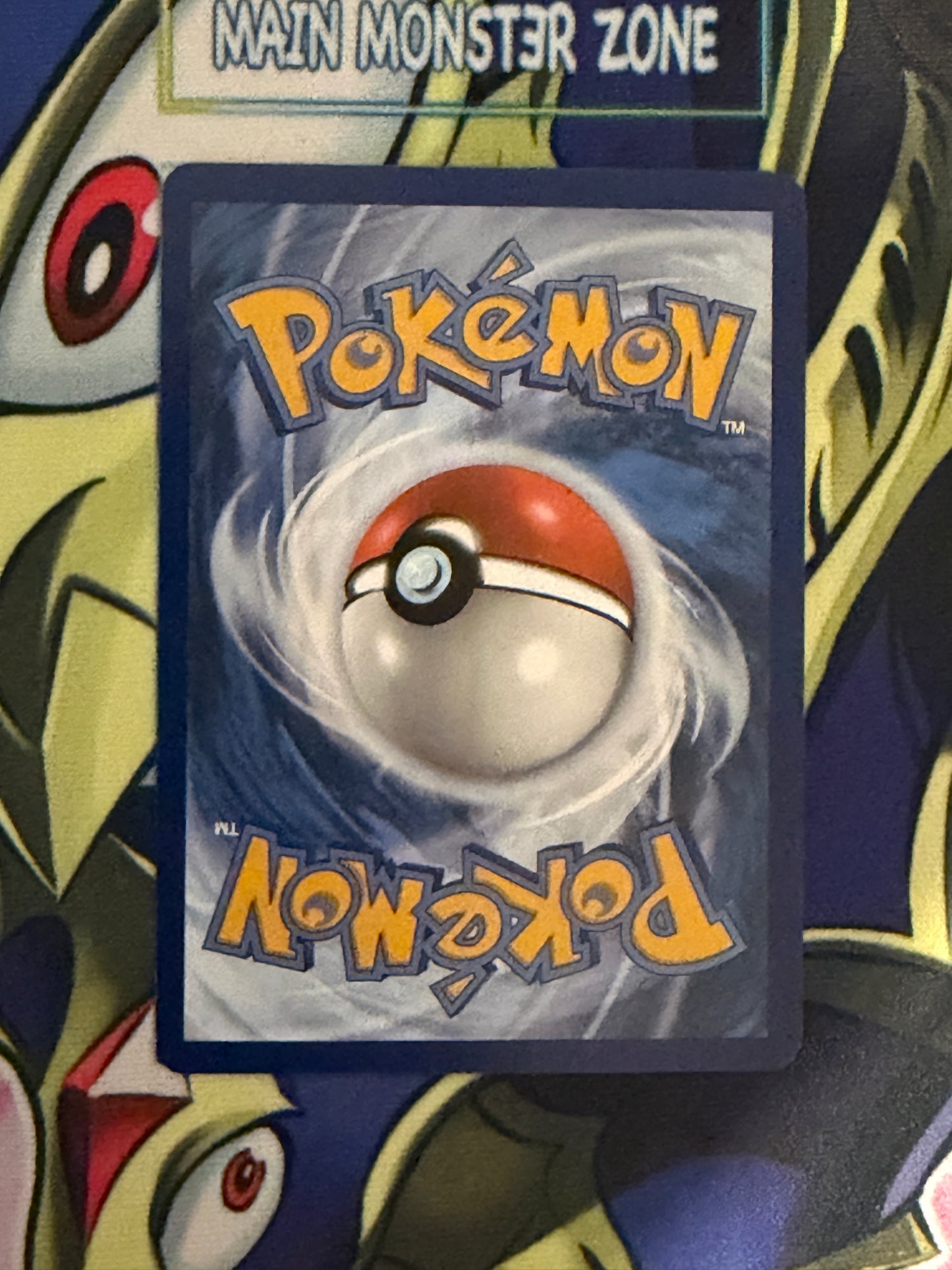 Pokémon! Blastoise ex 200/165