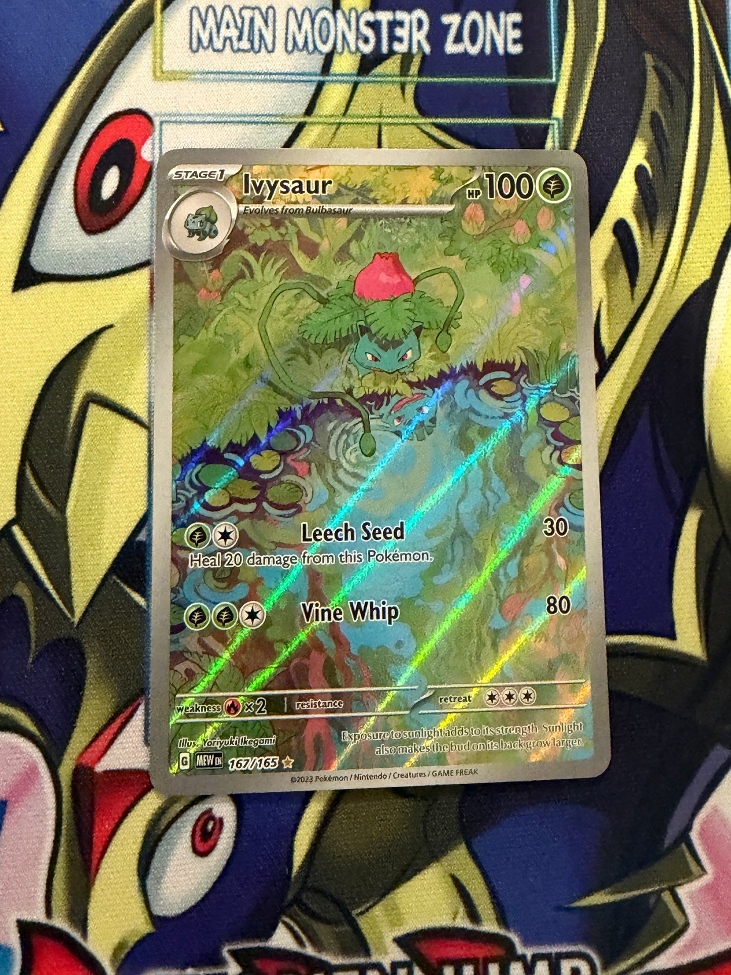 Ivysaur 167/175